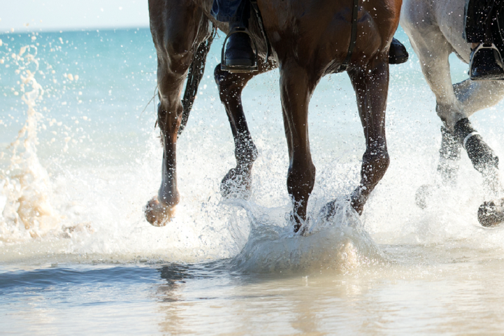 splachcablebeach Small