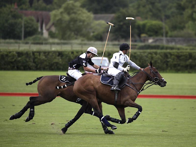 Gold Cup For the British Open