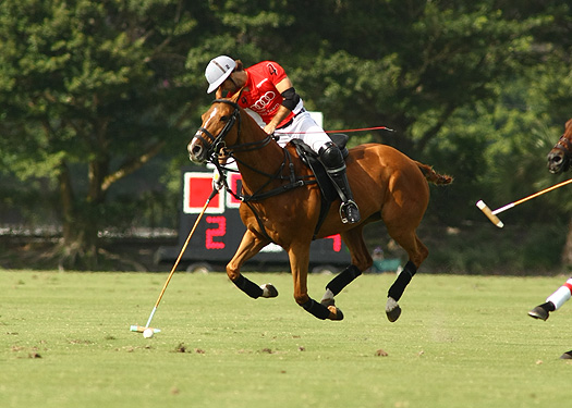 audi polo team coca polo team int polo club polo magazine alex pacheco photos 3