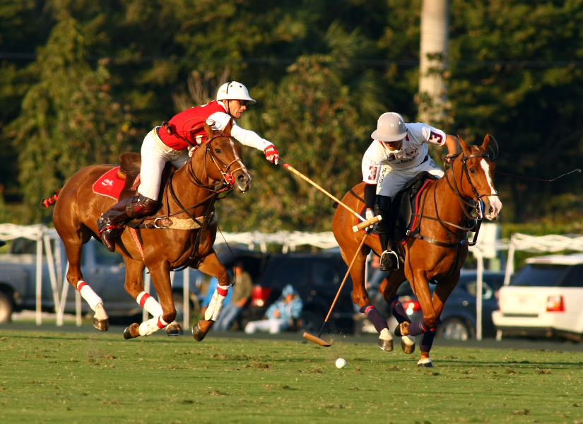 coca lechuza polo teams ipc polo club 2013 polo mag 6