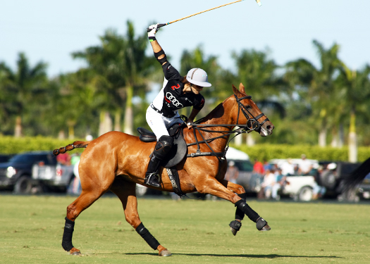 Photos-Valiente vs. Audi alex pacheco polo match polo tournament 2