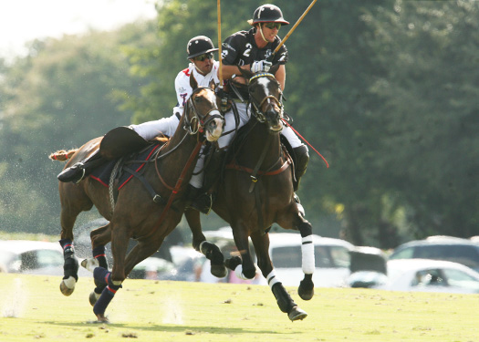 polo top polo tournament polo magazine lechuza piaget polo team 1