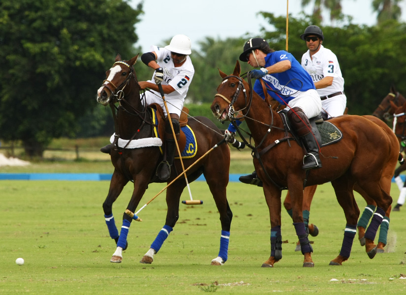 pachecopolomagazinephotospedromorrison2013polousa 3
