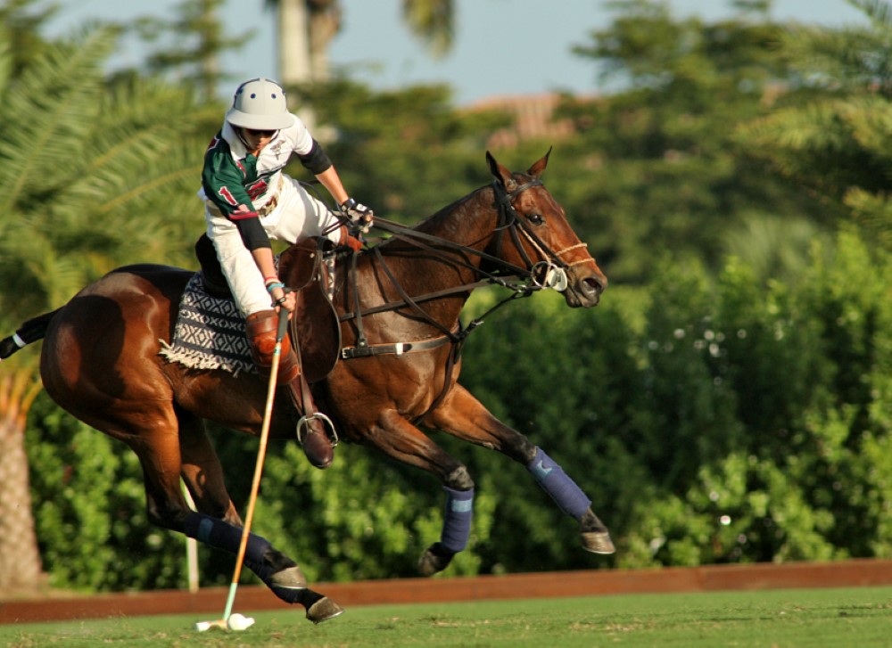 grandchampionspoloclubpolomagazinepbppolocuppolotournamentpacheco 4