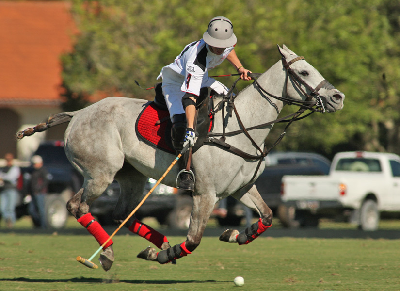joebarrymemorialcupipcpoloclubpolomagazinepacheco 7