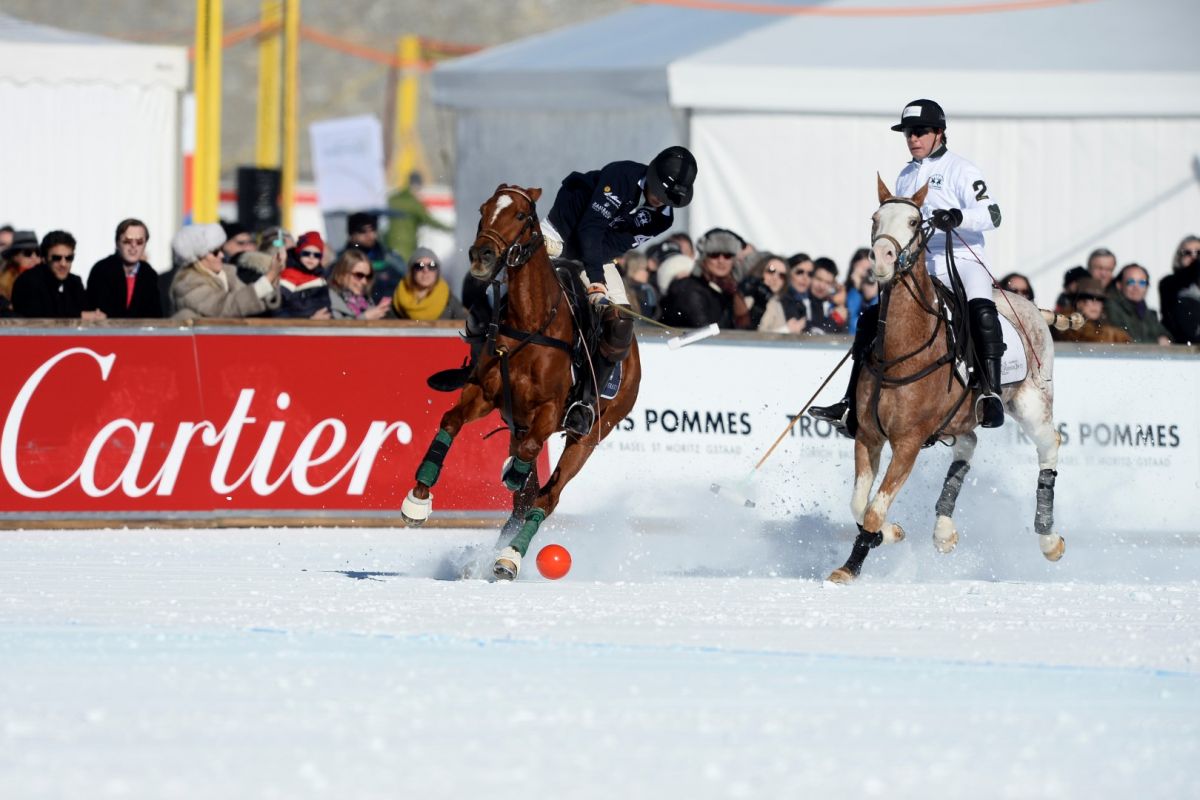 29 01 17-0320 32591413525 o