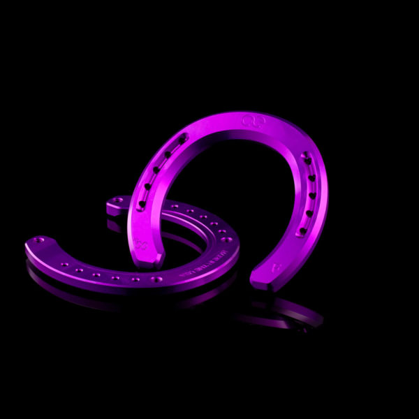 Finally a High Goal Horse Shoe!