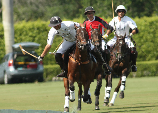 alexpacheco polomag 6