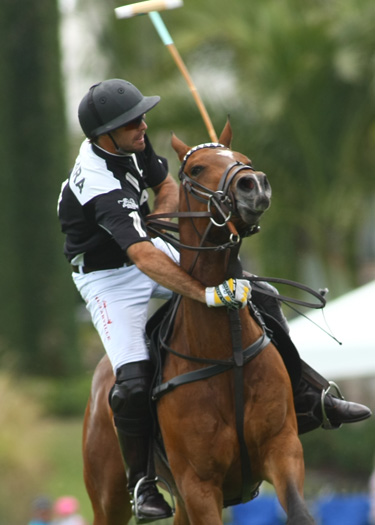 alexpacheco us polo open championships florida ipc polo magazine 6