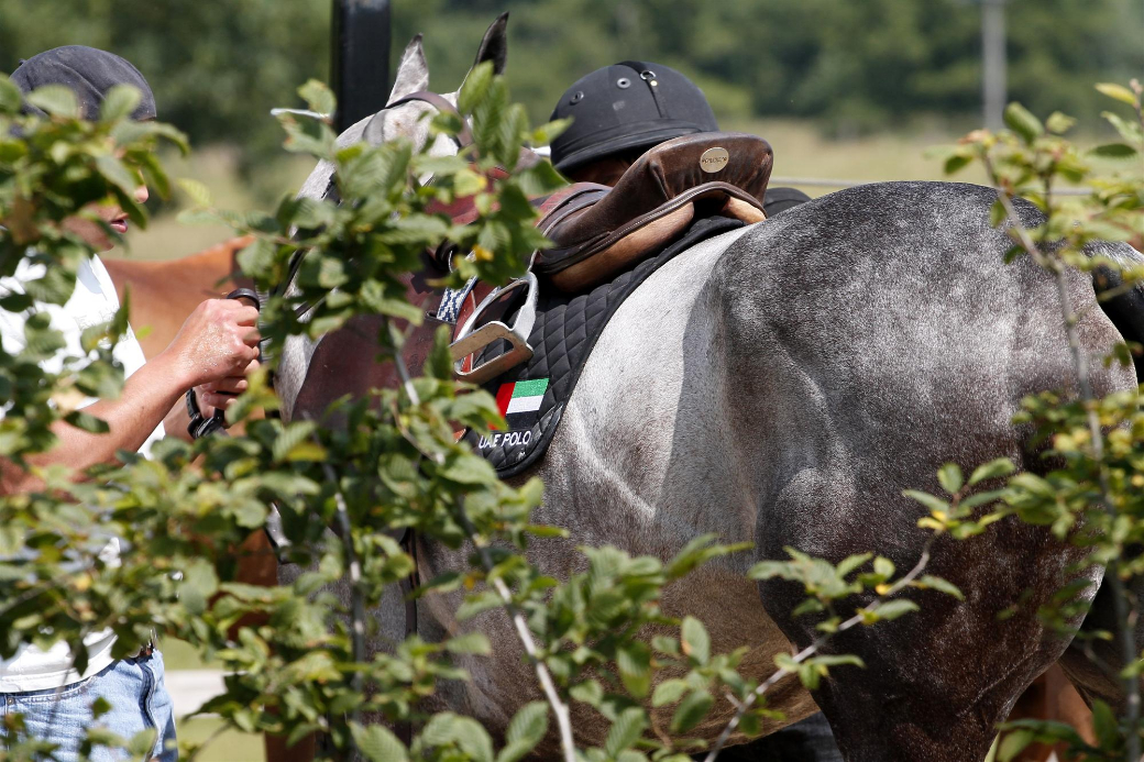 Backstage-UAE pony